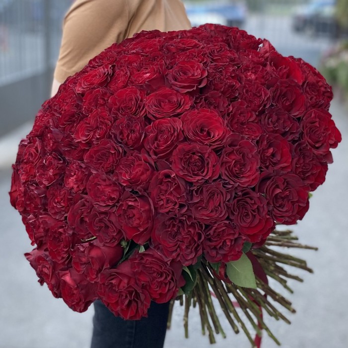 101 красная пионовидная роза Хартс
