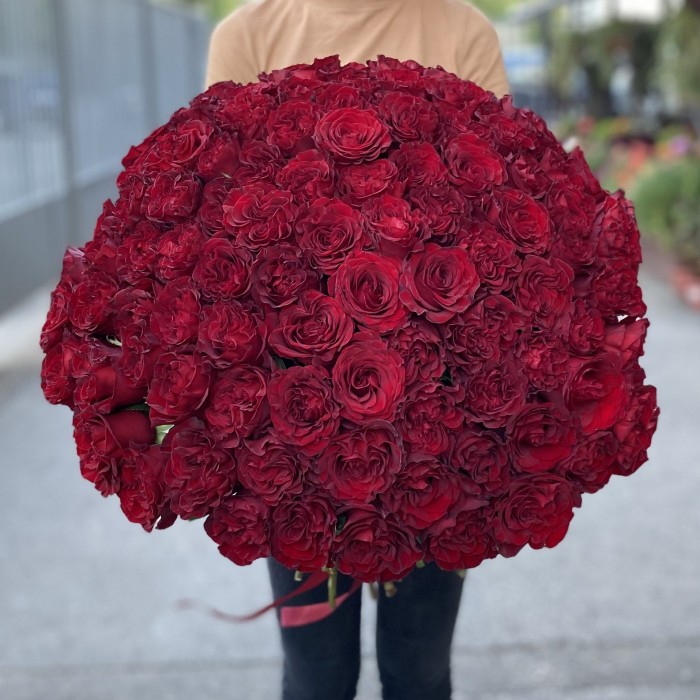 101 красная пионовидная роза Хартс