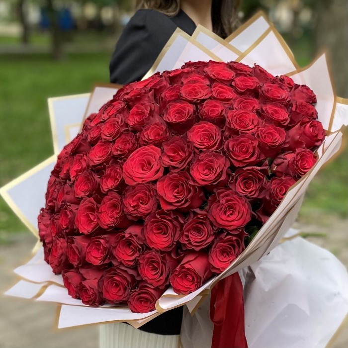 101 красная роза Родус 50 см