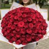 101 красная роза Родус 50 см