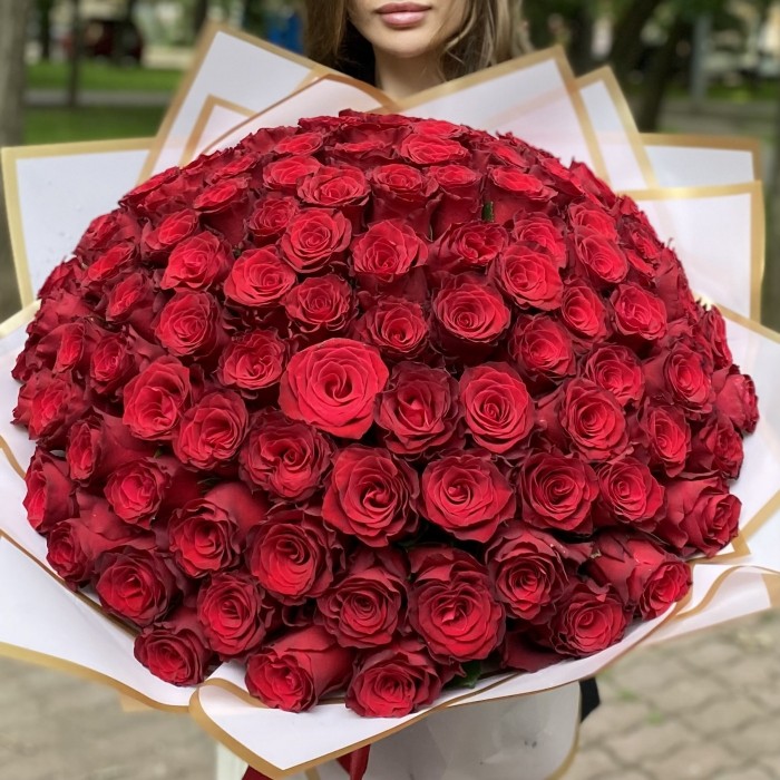 101 красная роза Родус 50 см