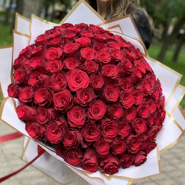 101 красная роза Родус 50 см