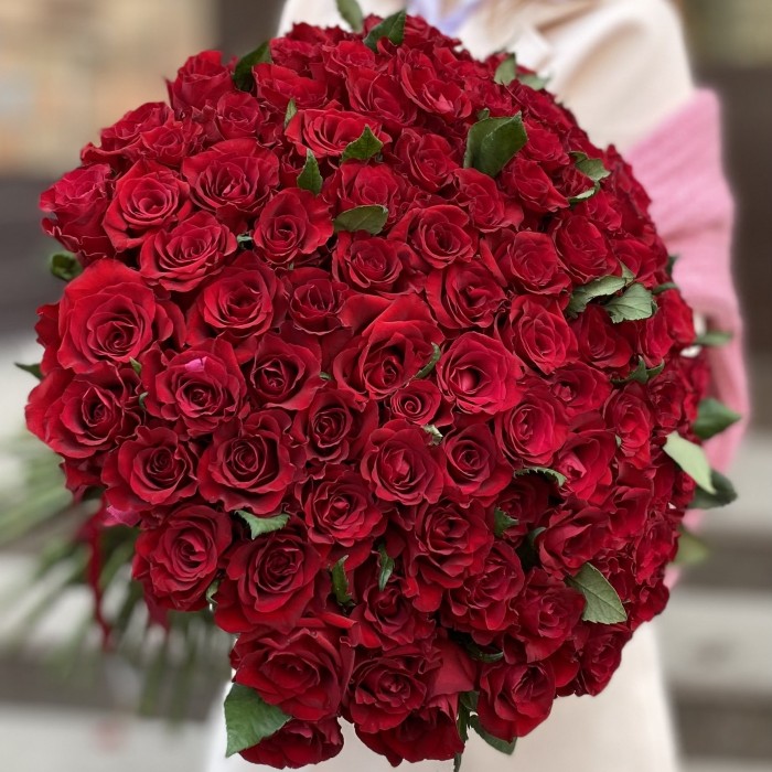 101 красная роза Эвер Ред 60 см