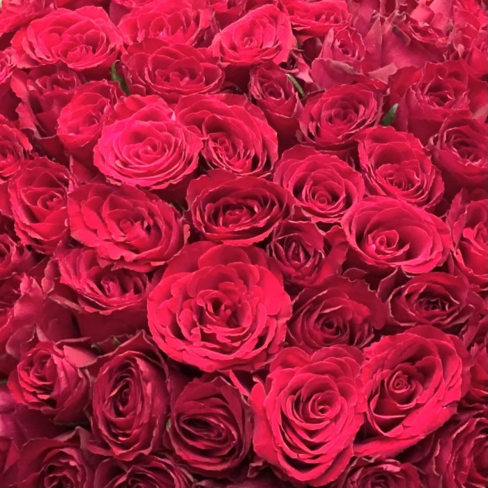 101 роза в шляпной коробке с бантом