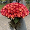 101 красно-желтая роза Боргат