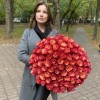 101 красно-желтая роза Боргат