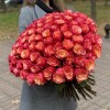 101 красно-желтая роза Боргат
