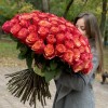 101 красно-желтая роза Боргат