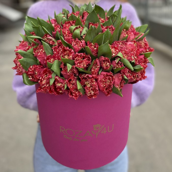 101 махровый красный тюльпан Ля мур в коробке