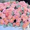 101 кустовая пионовидная роза Джульетта в коробке с эвкалиптом