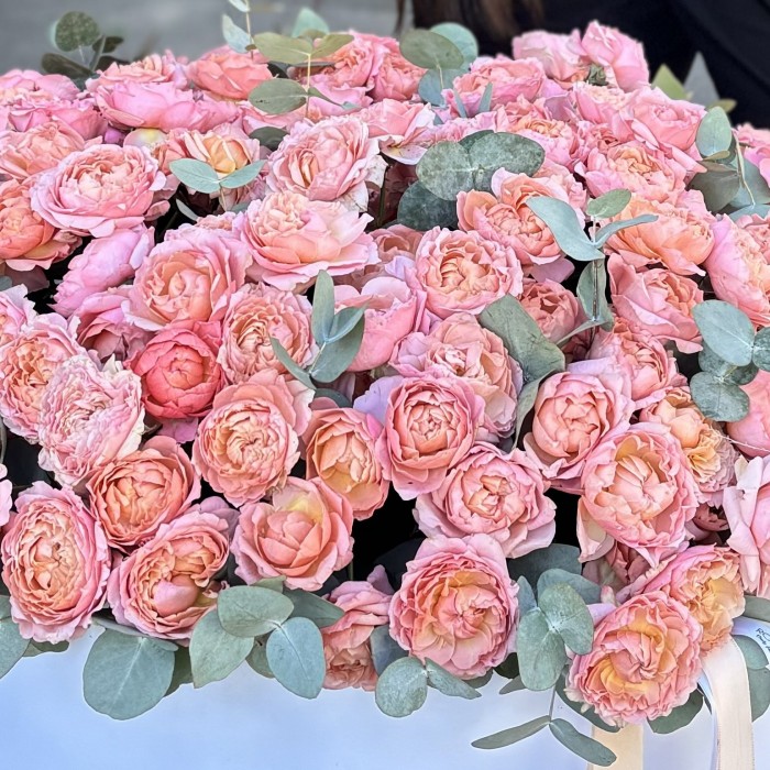 101 кустовая пионовидная роза Джульетта в коробке с эвкалиптом