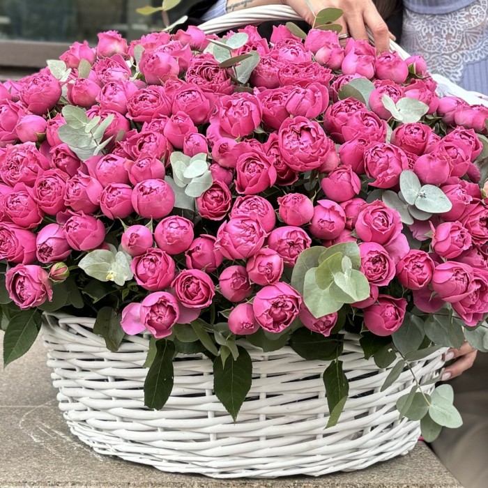 101 кустовая роза пионовидная роза Мисти баблс в корзине