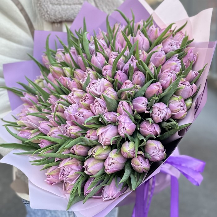 101 лиловый тюльпан Дабл Мастер