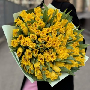 101 махровый желтый тюльпан