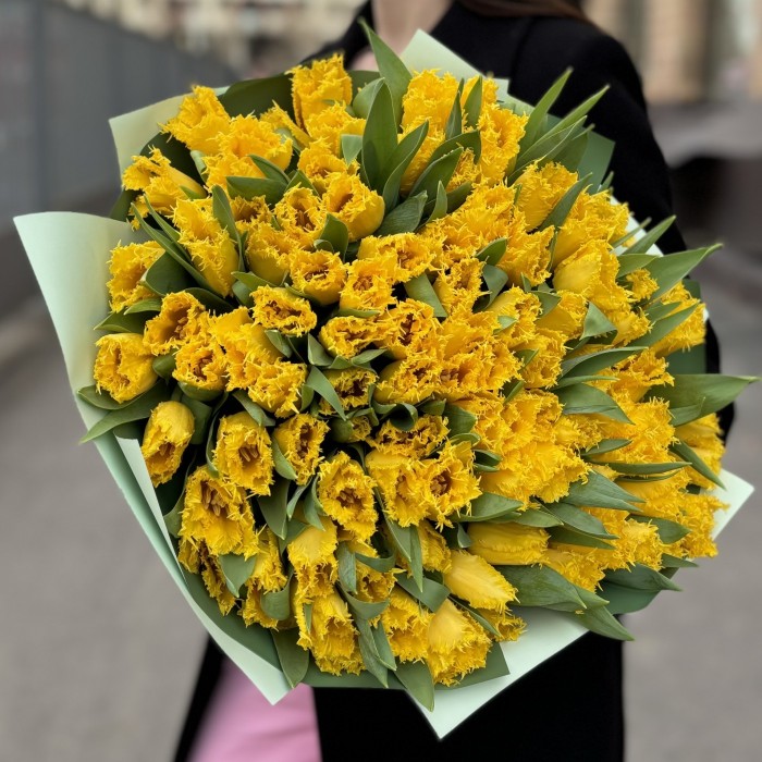101 махровый желтый тюльпан