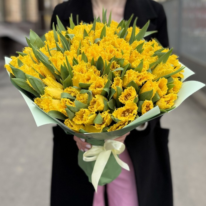 101 махровый желтый тюльпан