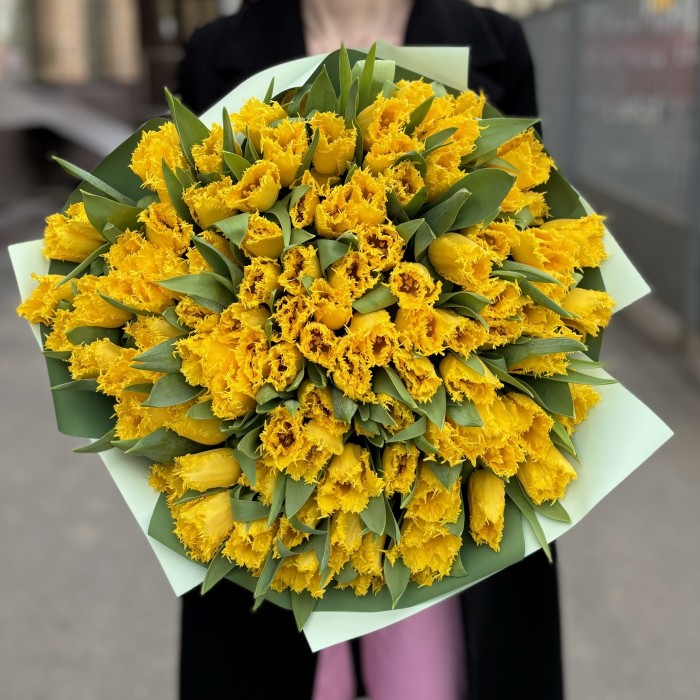 101 махровый желтый тюльпан