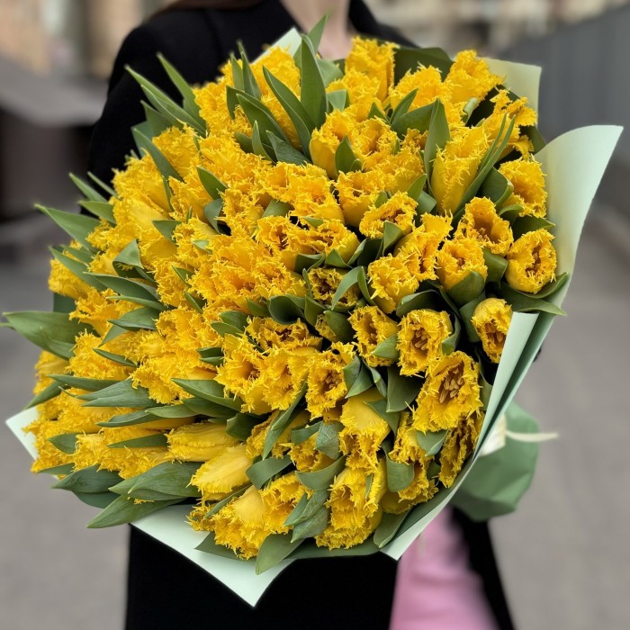 101 махровый желтый тюльпан