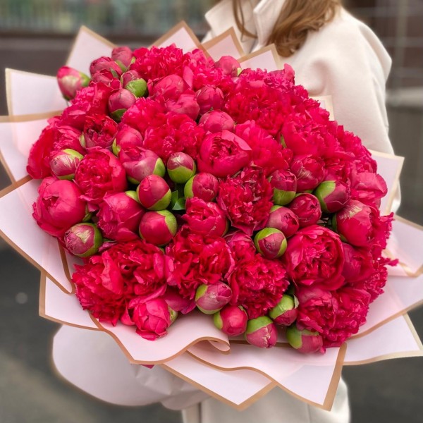 101 малиновый пион Перфоманс