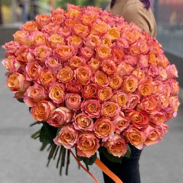 101 огненная роза Фри Спирит