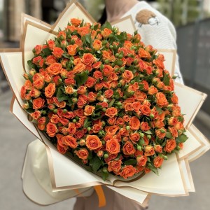 101 оранжевая кустовая роза Чарминг Бейб