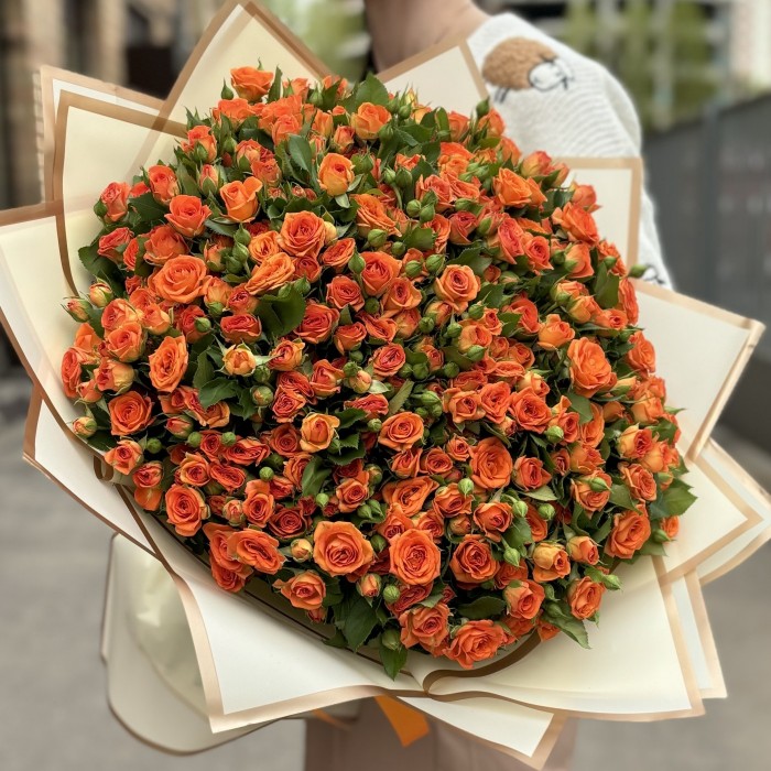 101 оранжевая кустовая роза Чарминг Бейб