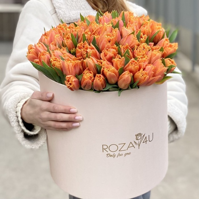 101 оранжевый махровый тюльпан Оранж пэшн в коробке