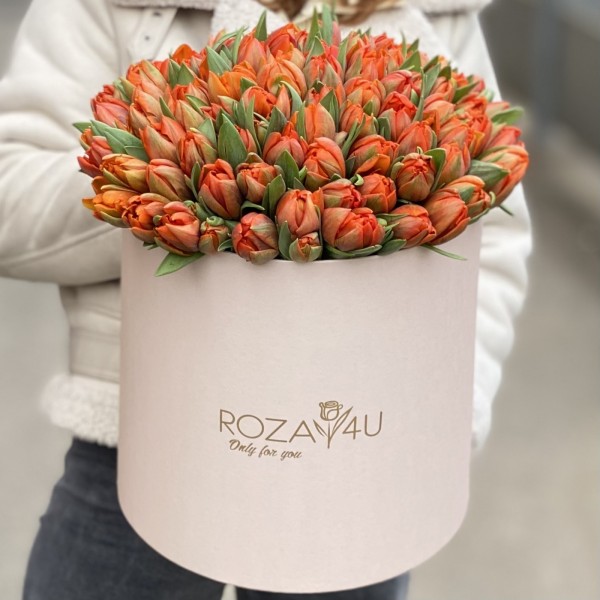 101 оранжевый пионовидный тюльпан Эрмитаж Даб в коробке