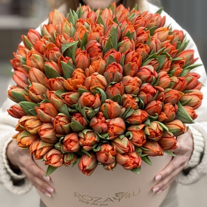 101 оранжевый пионовидный тюльпан Эрмитаж Даб в коробке