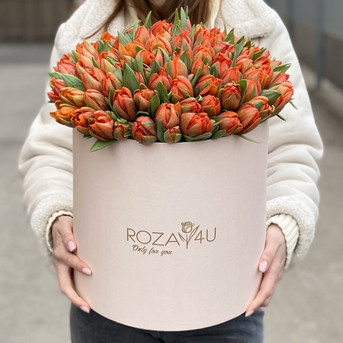 101 оранжевый пионовидный тюльпан Эрмитаж Даб в коробке
