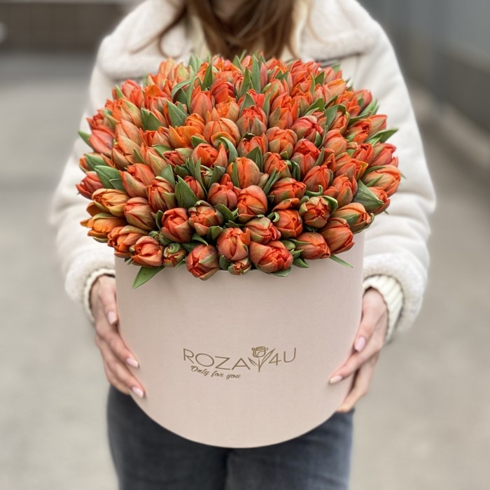 101 оранжевый пионовидный тюльпан Эрмитаж Даб в коробке