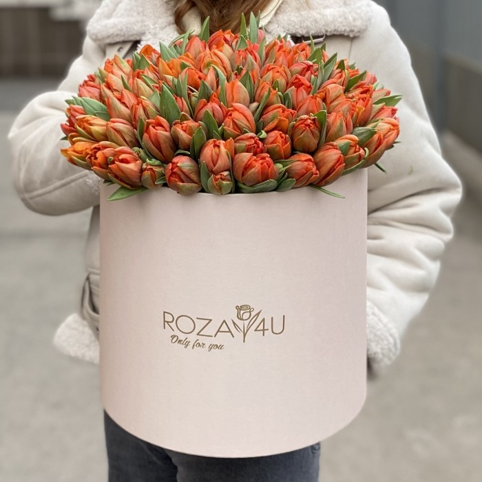 101 оранжевый пионовидный тюльпан Эрмитаж Даб в коробке