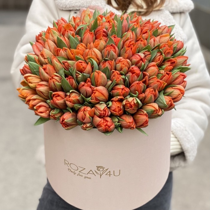 101 оранжевый пионовидный тюльпан Эрмитаж Даб в коробке