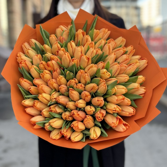 101 оранжевый тюльпан Тайм Аут в упаковке