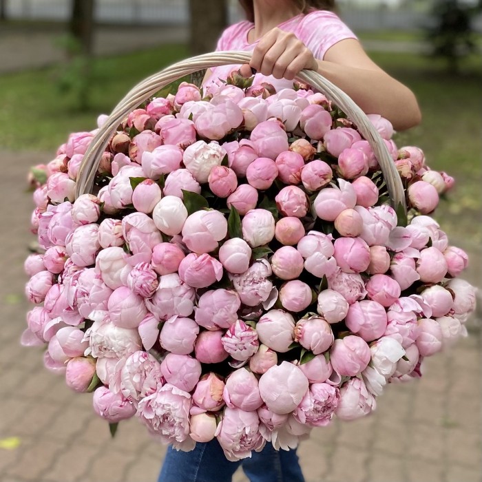 201 розовый пион Сара Бернар в корзине