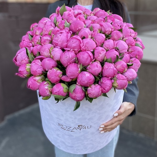 101 пион Флеминг в коробке