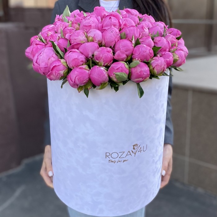 101 пион Флеминг в коробке