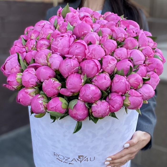 101 пион Флеминг в коробке