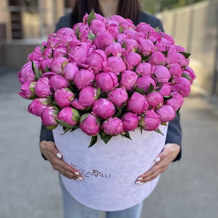 101 пион Флеминг в коробке