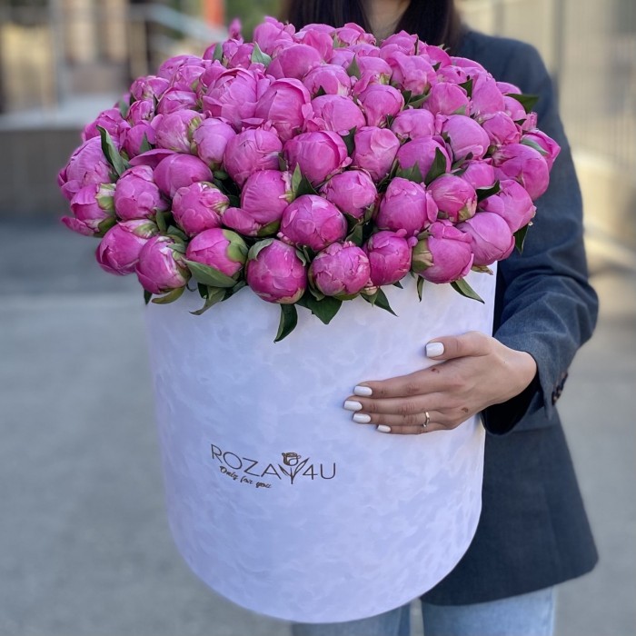 101 пион Флеминг в коробке