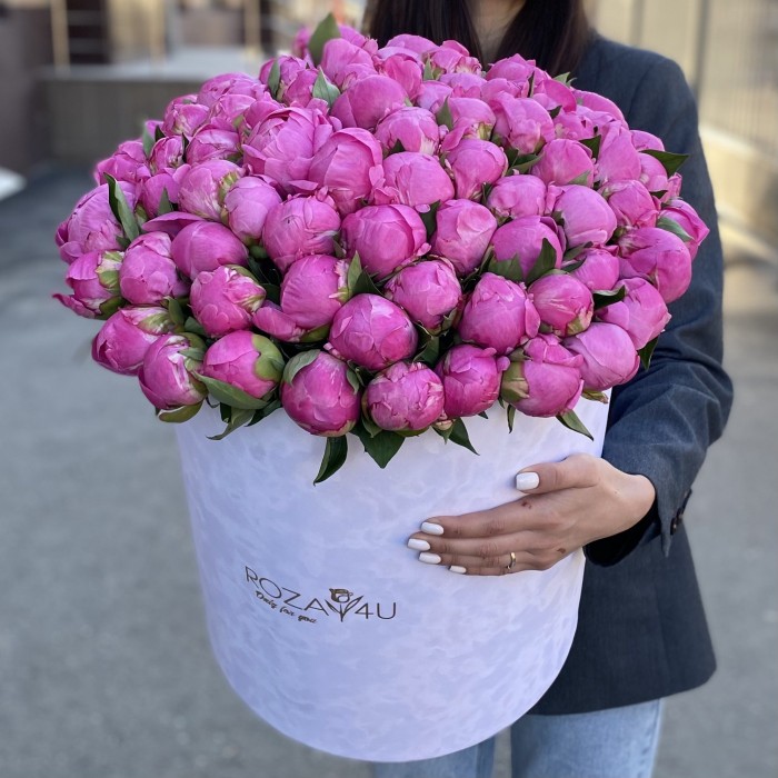 101 пион Флеминг в коробке