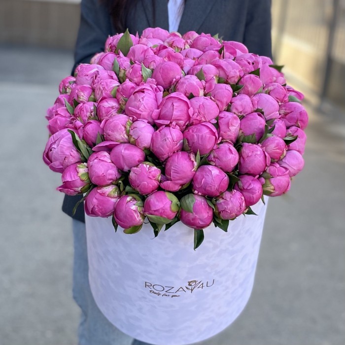 101 пион Флеминг в коробке