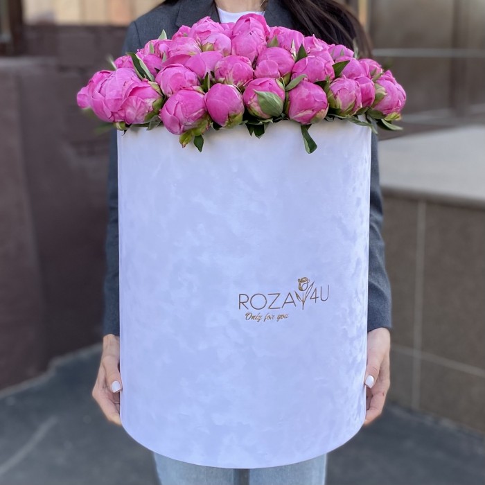 101 пион Флеминг в коробке