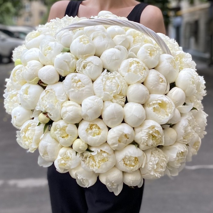 101 пион Белый Лебедь в корзине