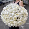 101 пион Белый Лебедь в корзине