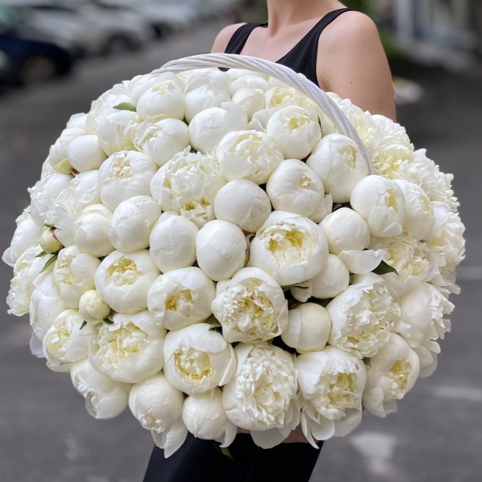 101 пион Белый Лебедь в корзине