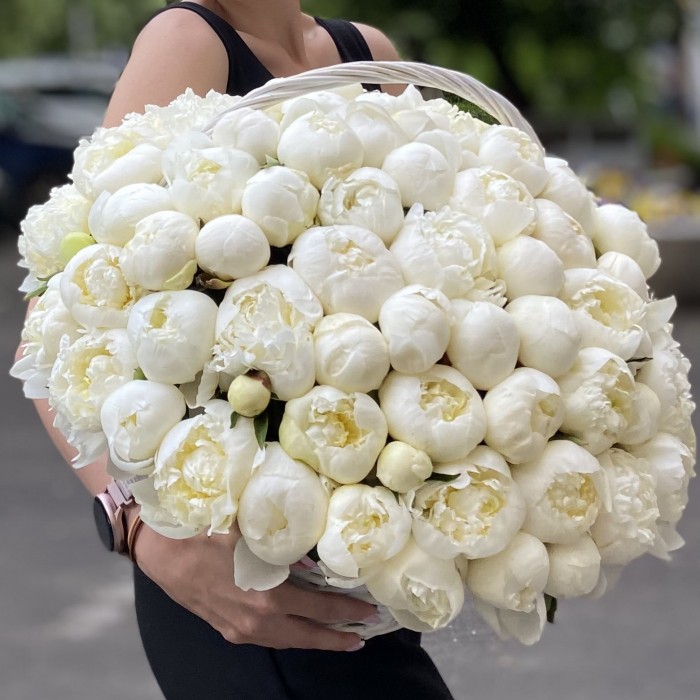 101 пион Белый Лебедь в корзине