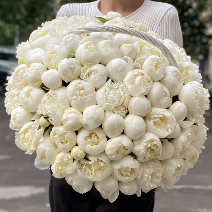 101 пион Белый Лебедь в корзине