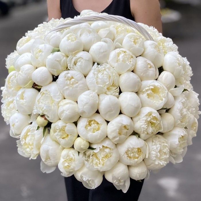 101 пион Белый Лебедь в корзине