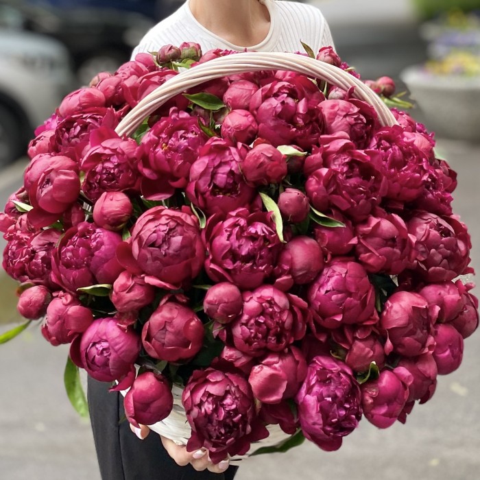 101 пион Канзас в корзине